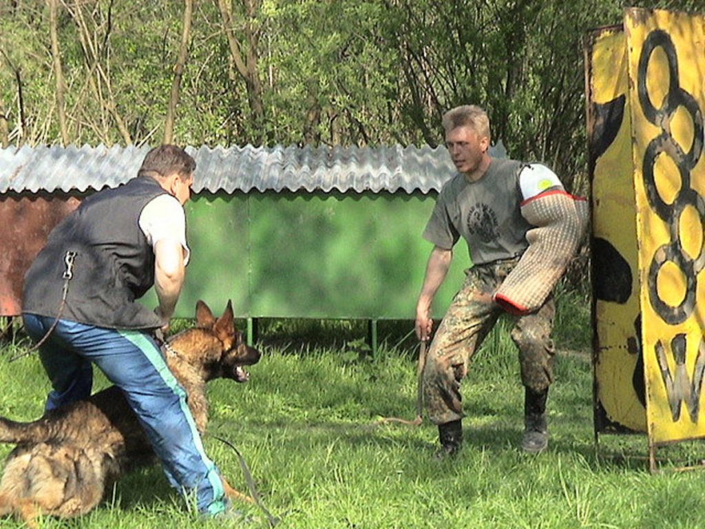 Protection Training